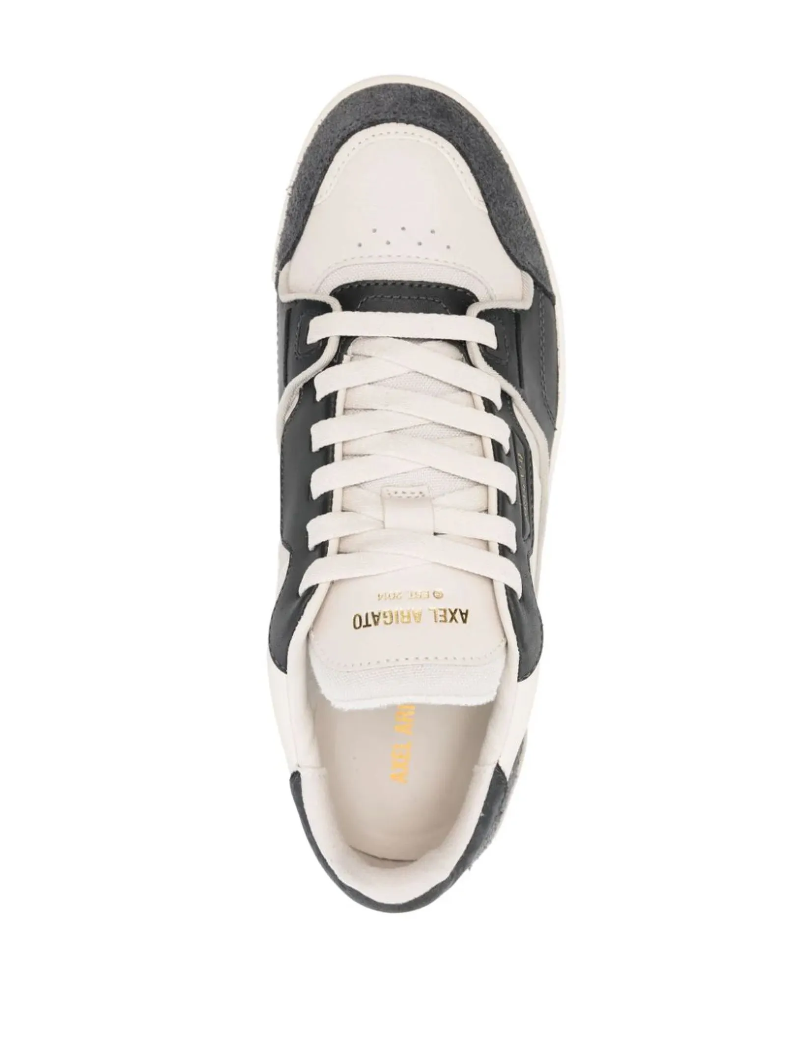 AXEL ARIGATO Calzature,Sneakers Sneakers Clay beige chiaro e nero 