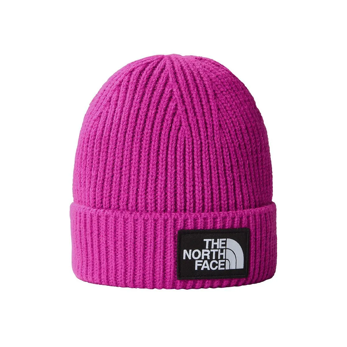      THE NORTH FACE BEANIE LOGO BOX  